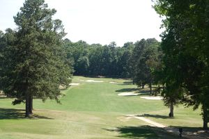 Palmetto 6th